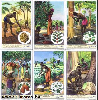 Plantes utiles du Congo